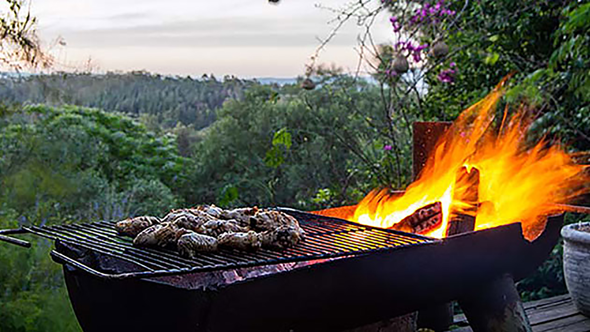 South African Braai BBQ Style - Fitzpatrick Fuels Blog